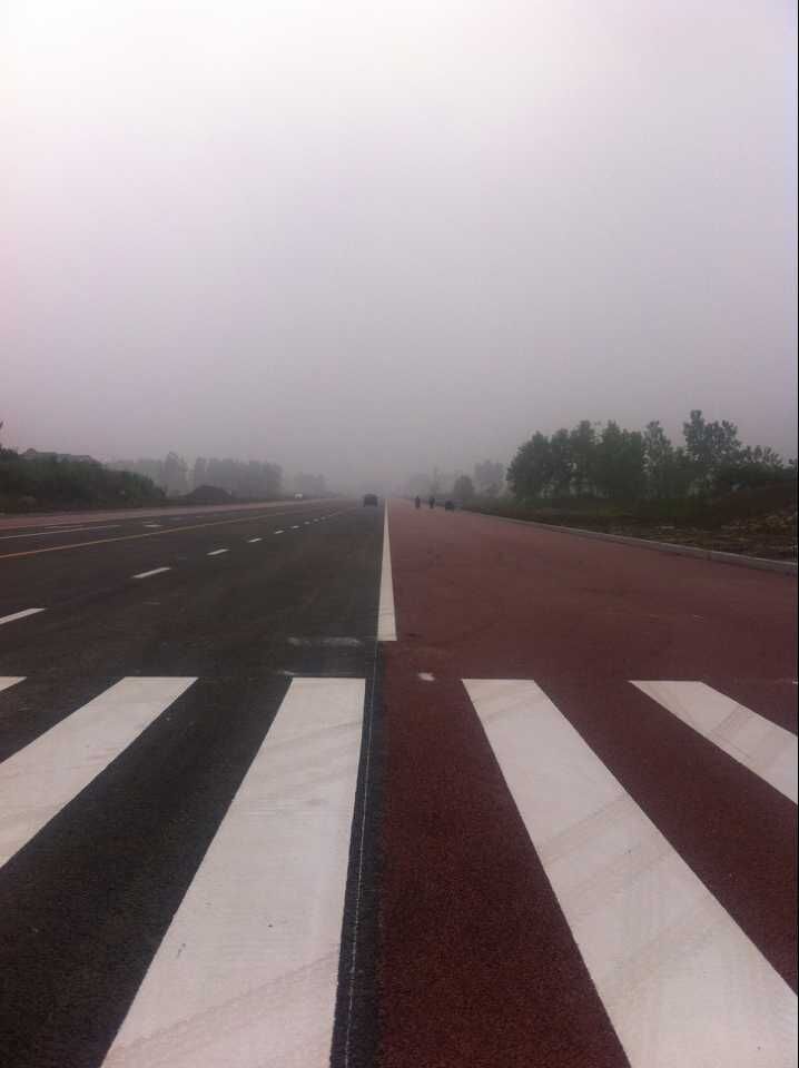 金湖縣城南干道(人民南路-黎農(nóng)河)道路、排水及污水管道工程